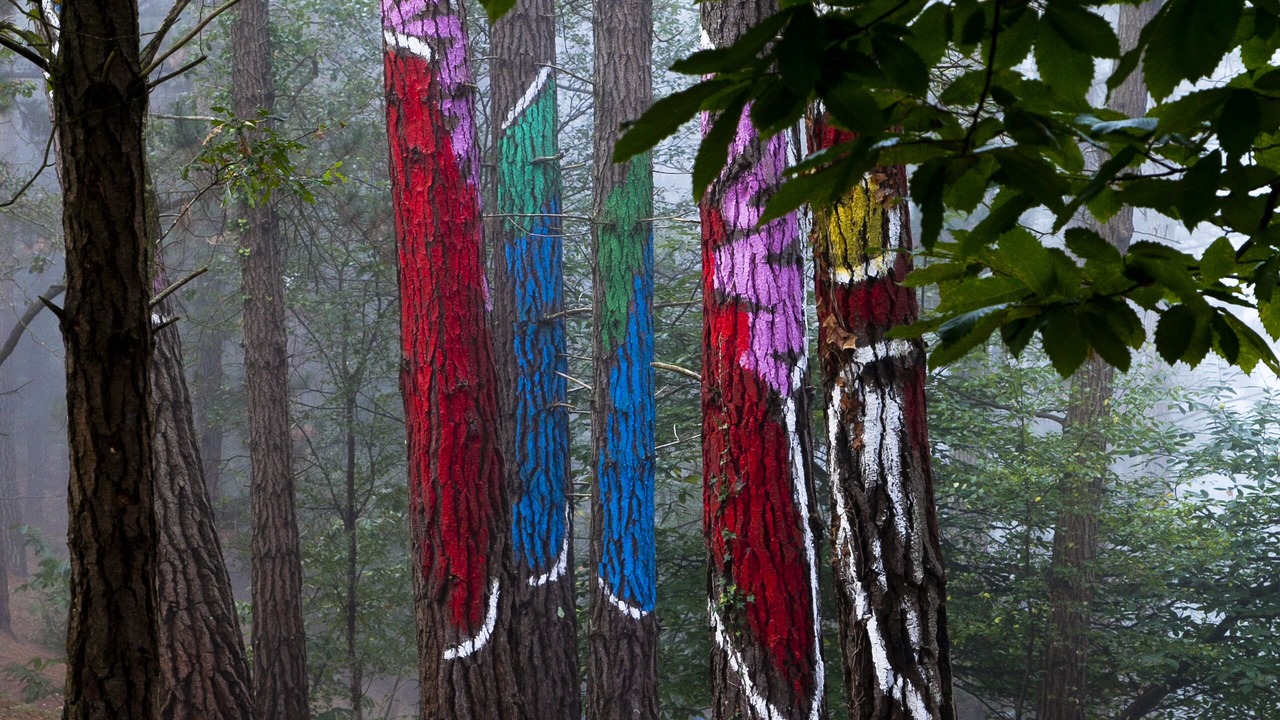 Photo of Outdoor in Gautegiz Arteaga