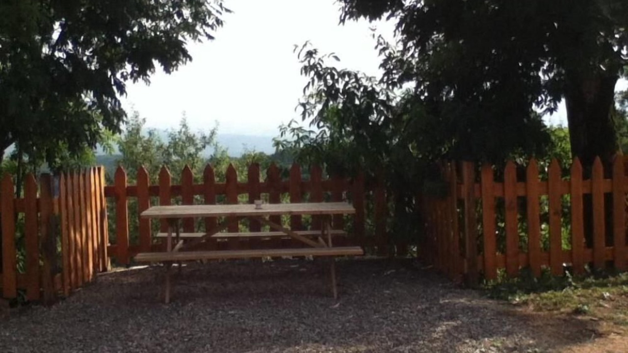 Photo of Outdoor in Camarade