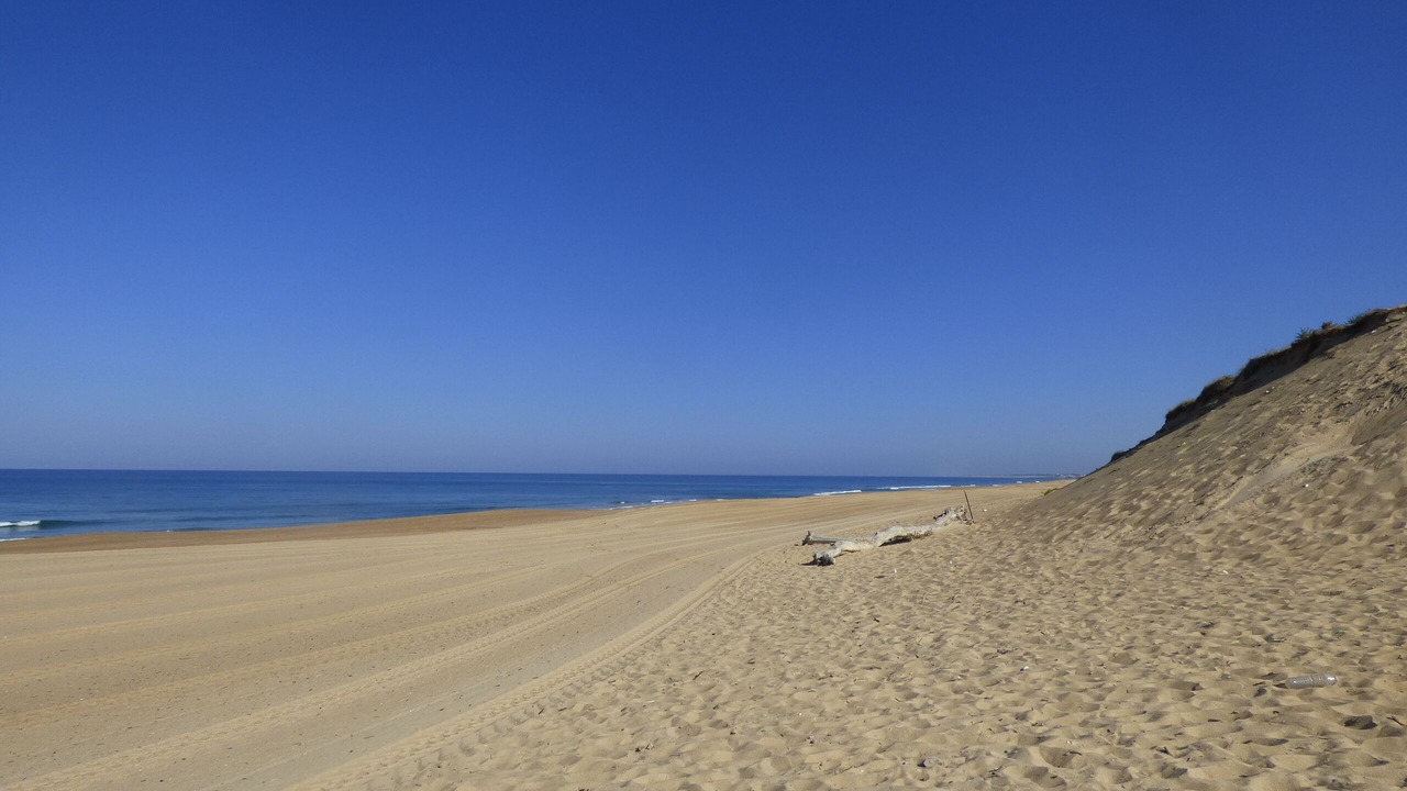 Photo of Others in Labenne-Ocean