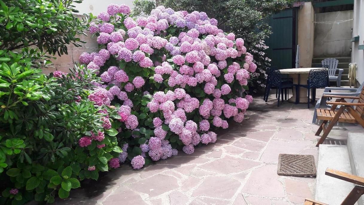 Photo of Outdoor in Biarritz City Centre