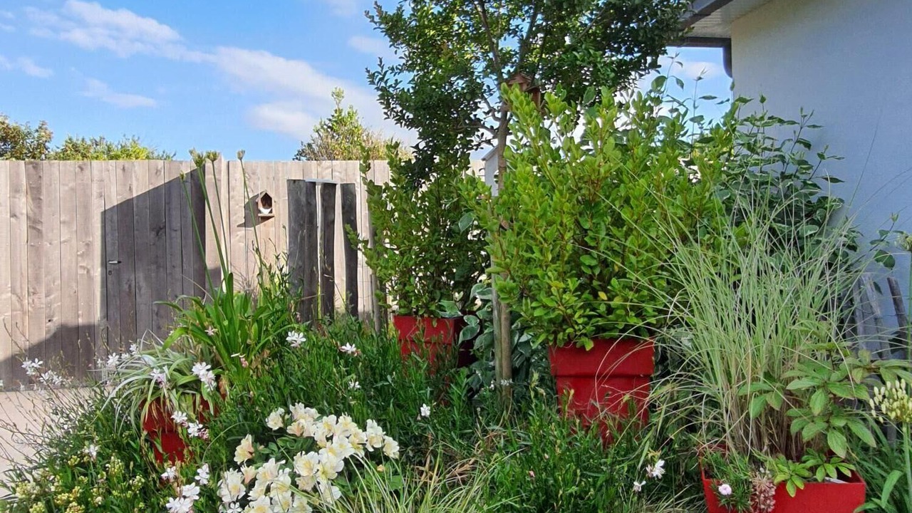 Photo of Outdoor in Lancieux