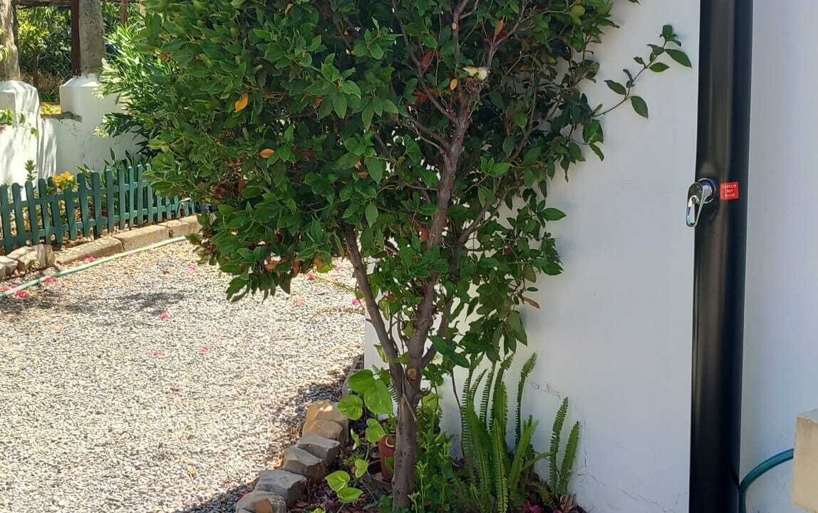 Photo of Outdoor in Olhao