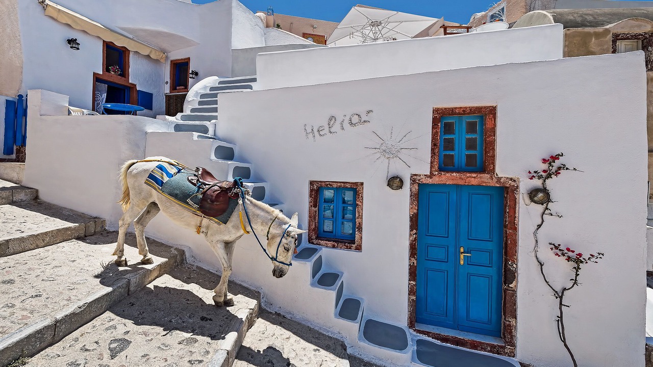 Photo of Others in Oia