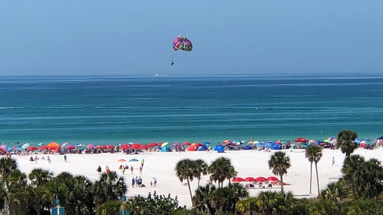 Photo of Others in Siesta Key