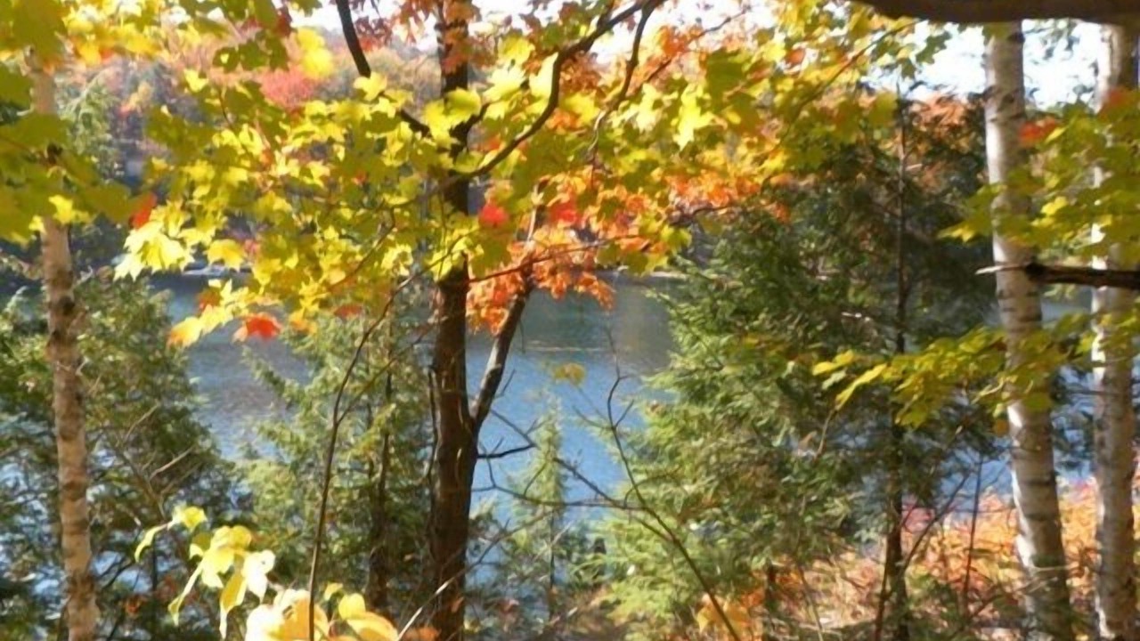 Photo of Outdoor in Utterson