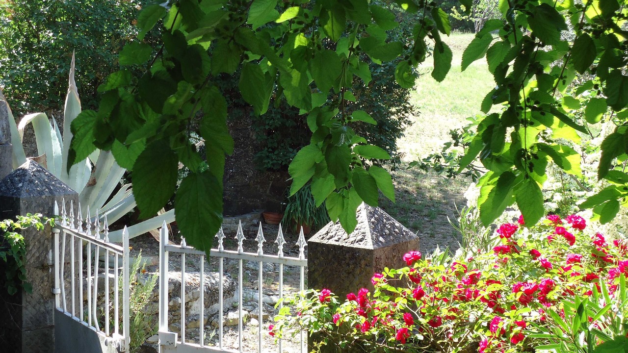 Photo of Outdoor in Lagorce