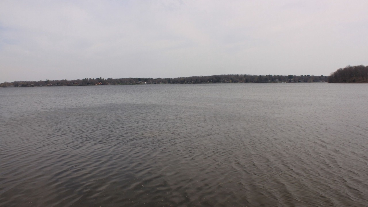 Photo of Others in Lake Ripley