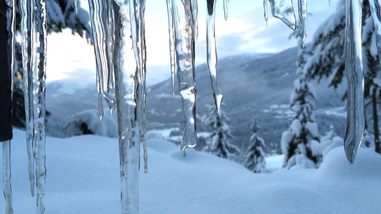 Photo of Others in Nordic Estates