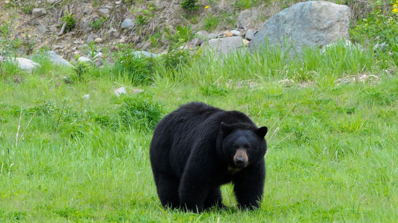 Photo of Outdoor in Nordic Estates