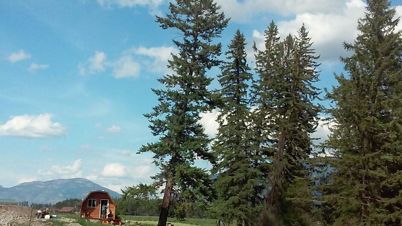 Photo of Others in Columbia Falls