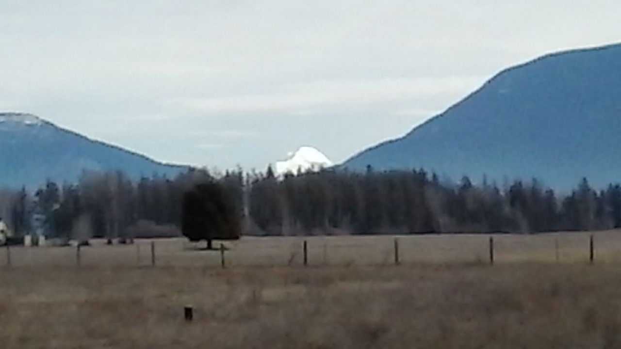 Photo of Others in Columbia Falls