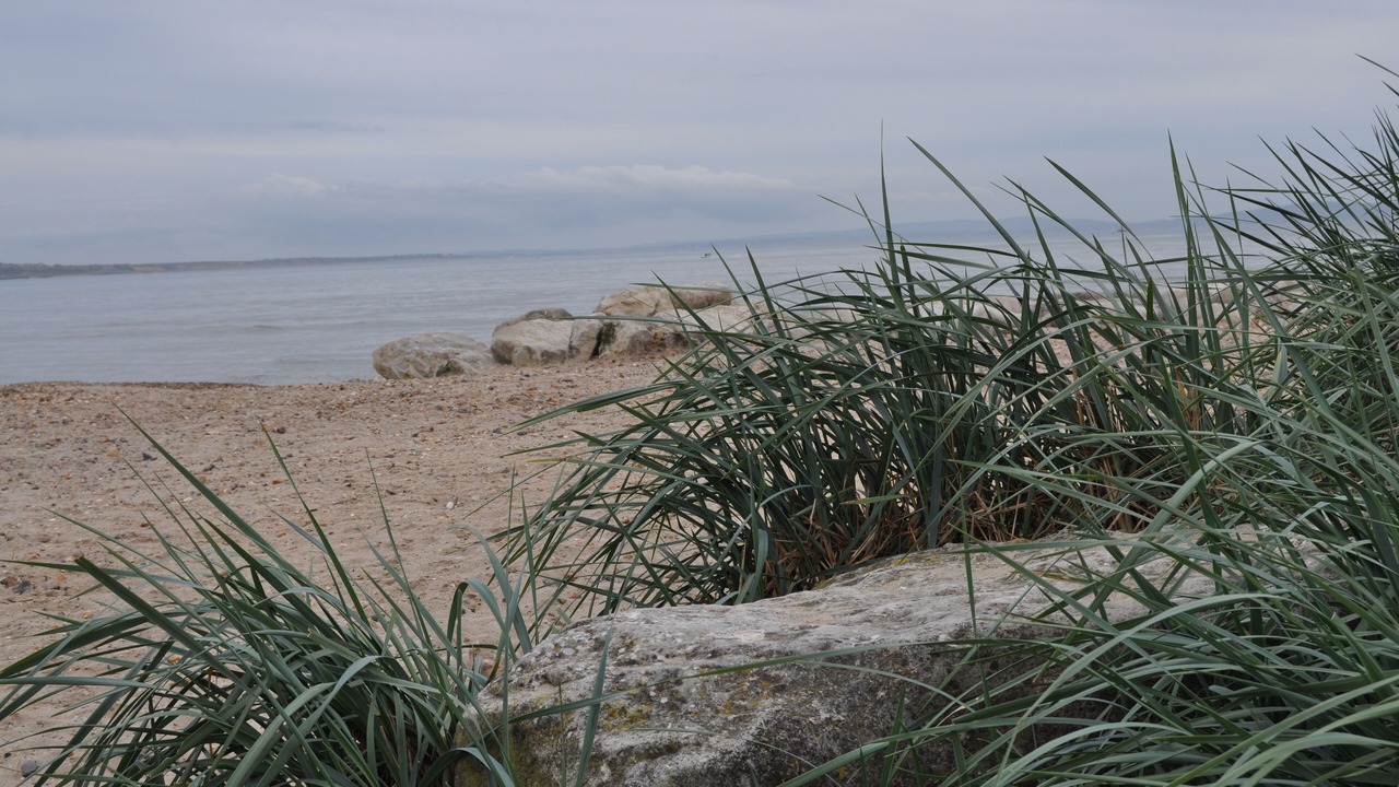 Photo of Others in Mudeford