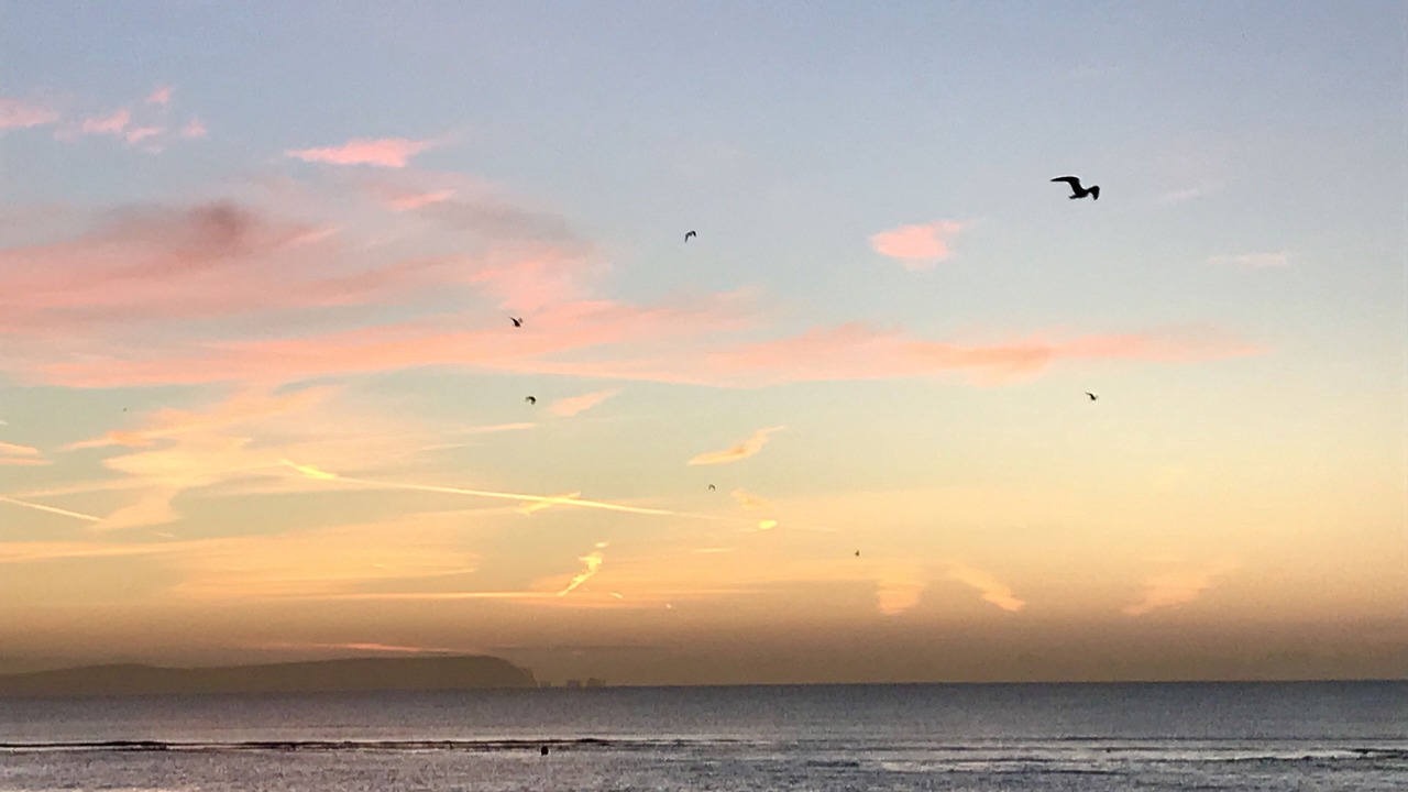 Photo of Others in Mudeford