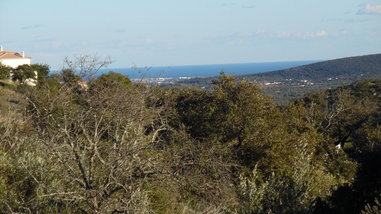 Photo of Others in Sao Bras de Alportel