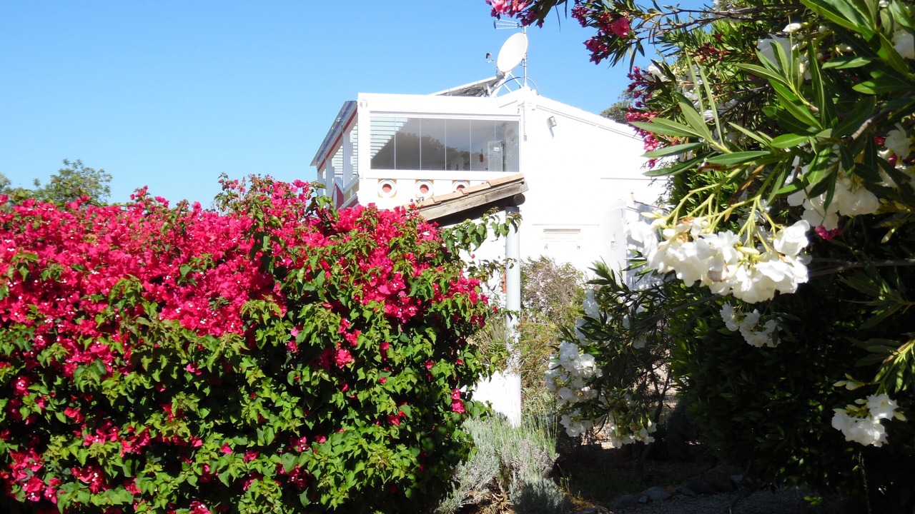 Photo of Others in Sao Bras de Alportel