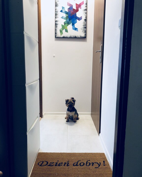 Photo of Bedroom in Bielany