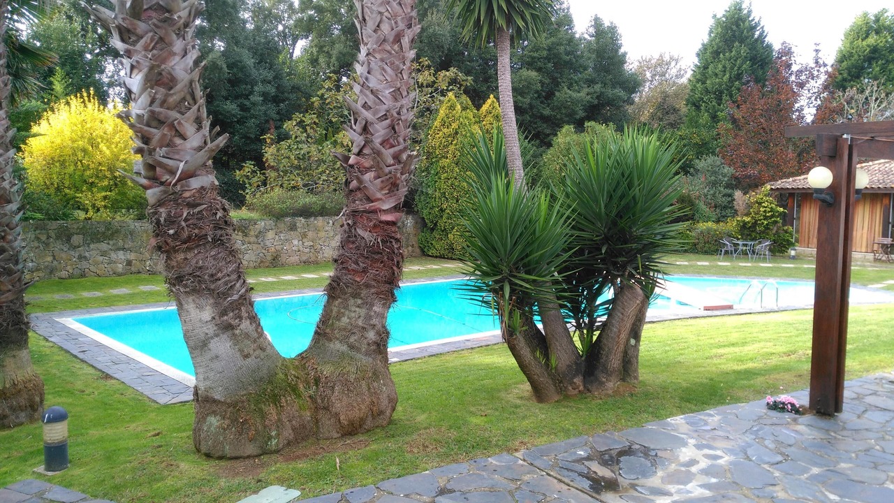 Photo of Outdoor in Santa Maria da Feira