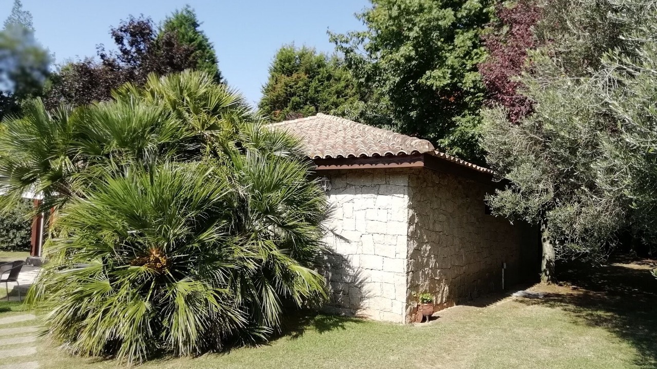 Photo of Outdoor in Santa Maria da Feira