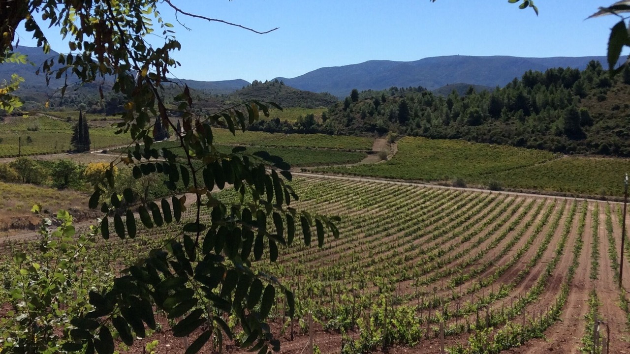 Photo of Outdoor in Durban-Corbieres