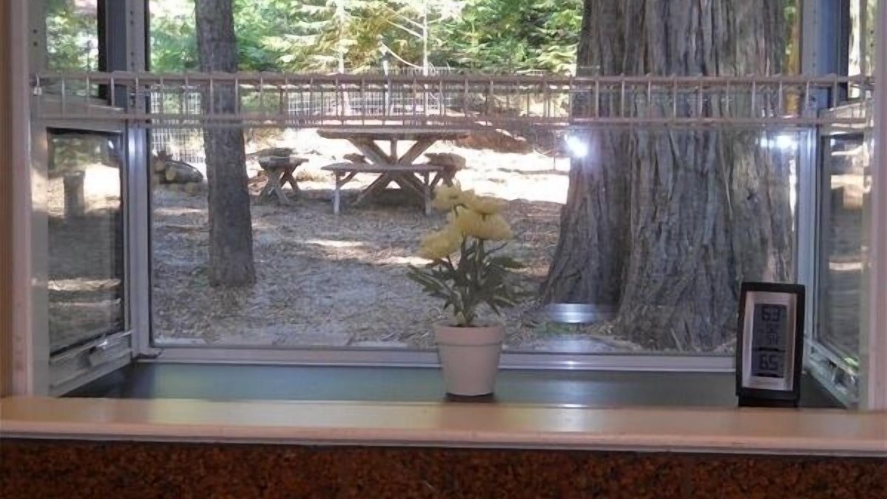 Photo of Others in Pollock Pines