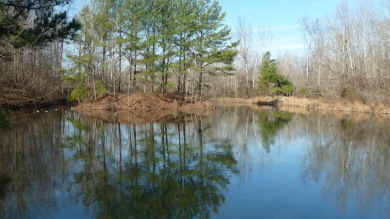 Photo of Others in Carbondale