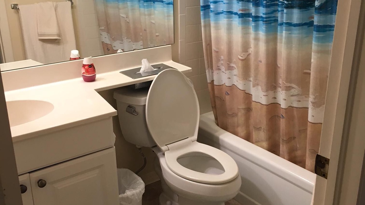Photo of Bathroom in Plantation