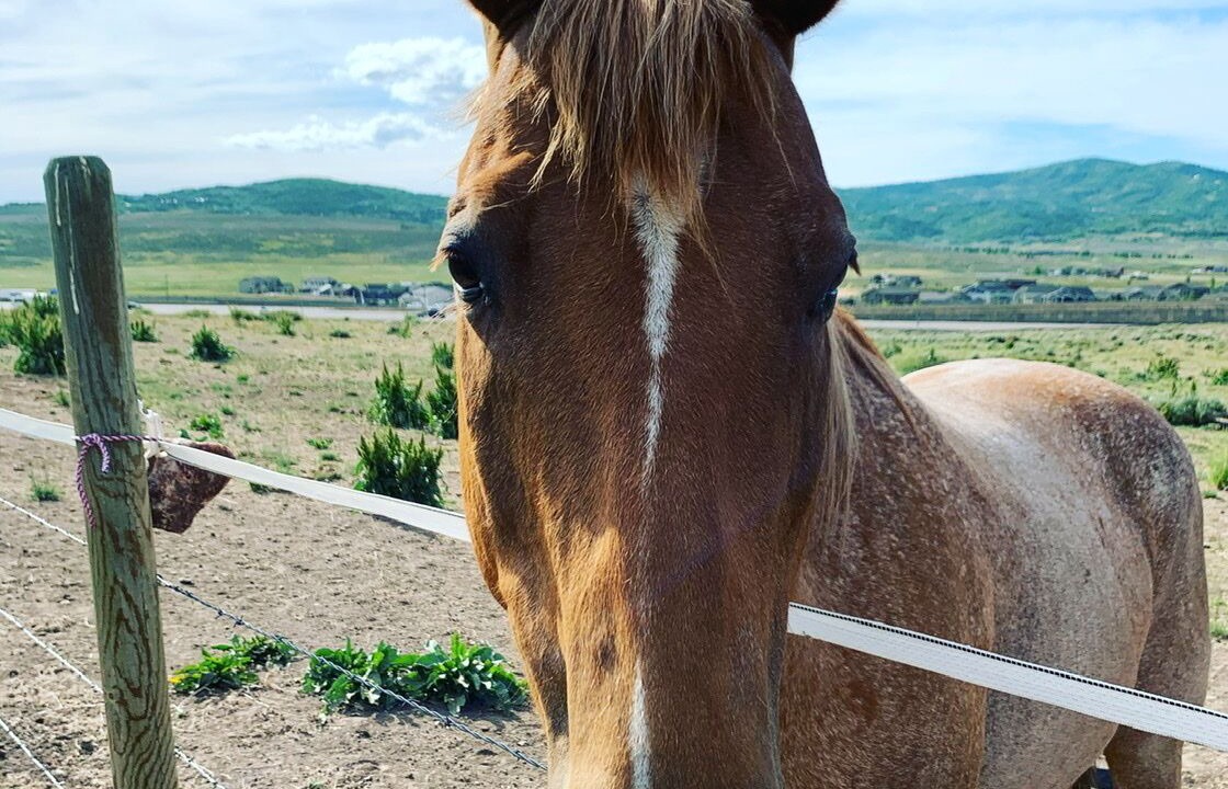 Photo of Others in North Park City