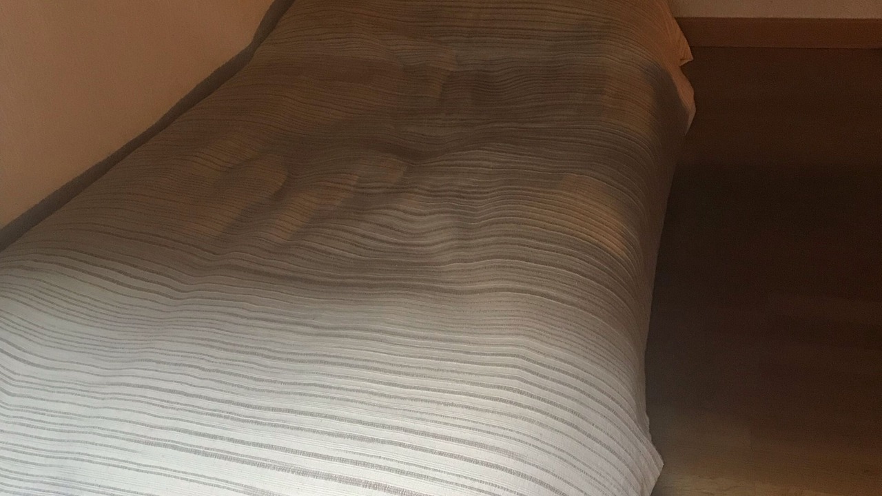 Photo of Bedroom in Champlan