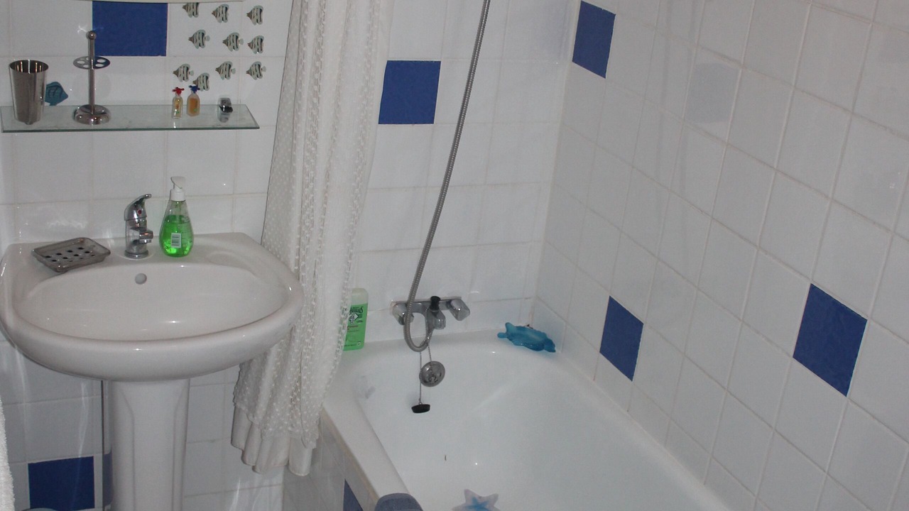 Photo of Bathroom in Escueillens-et-Saint-Just-de-Belengard