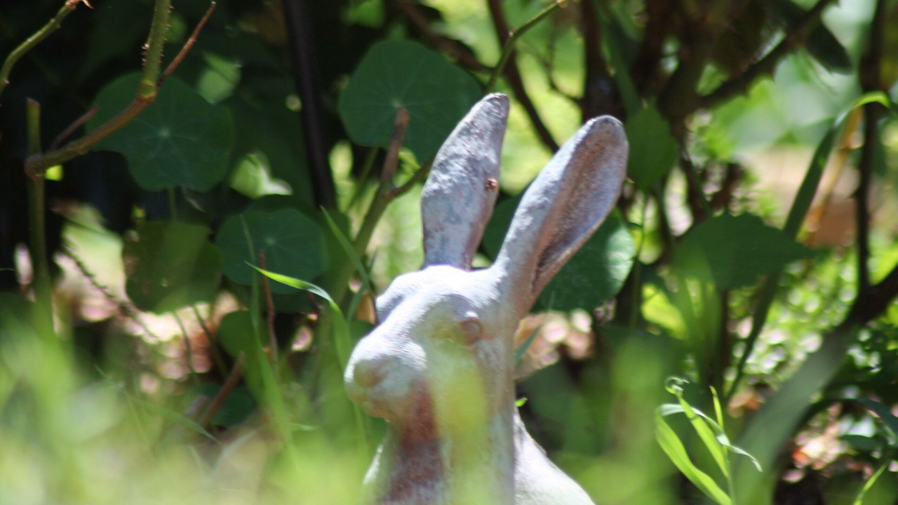 Photo of Outdoor in Escueillens-et-Saint-Just-de-Belengard