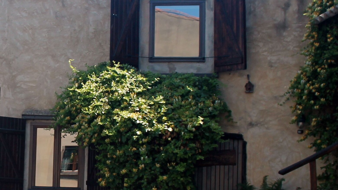 Photo of Others in Escueillens-et-Saint-Just-de-Belengard