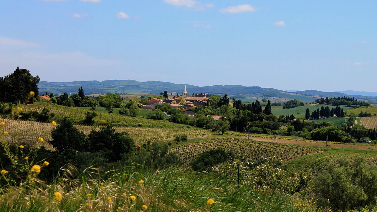 Photo of Outdoor in Escueillens-et-Saint-Just-de-Belengard