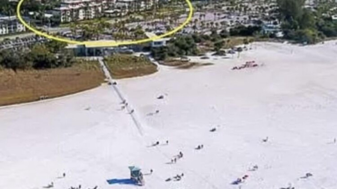 Photo of Others in Siesta Key