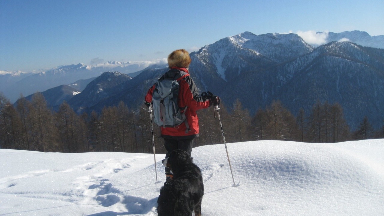 Photo of Others in Spruga