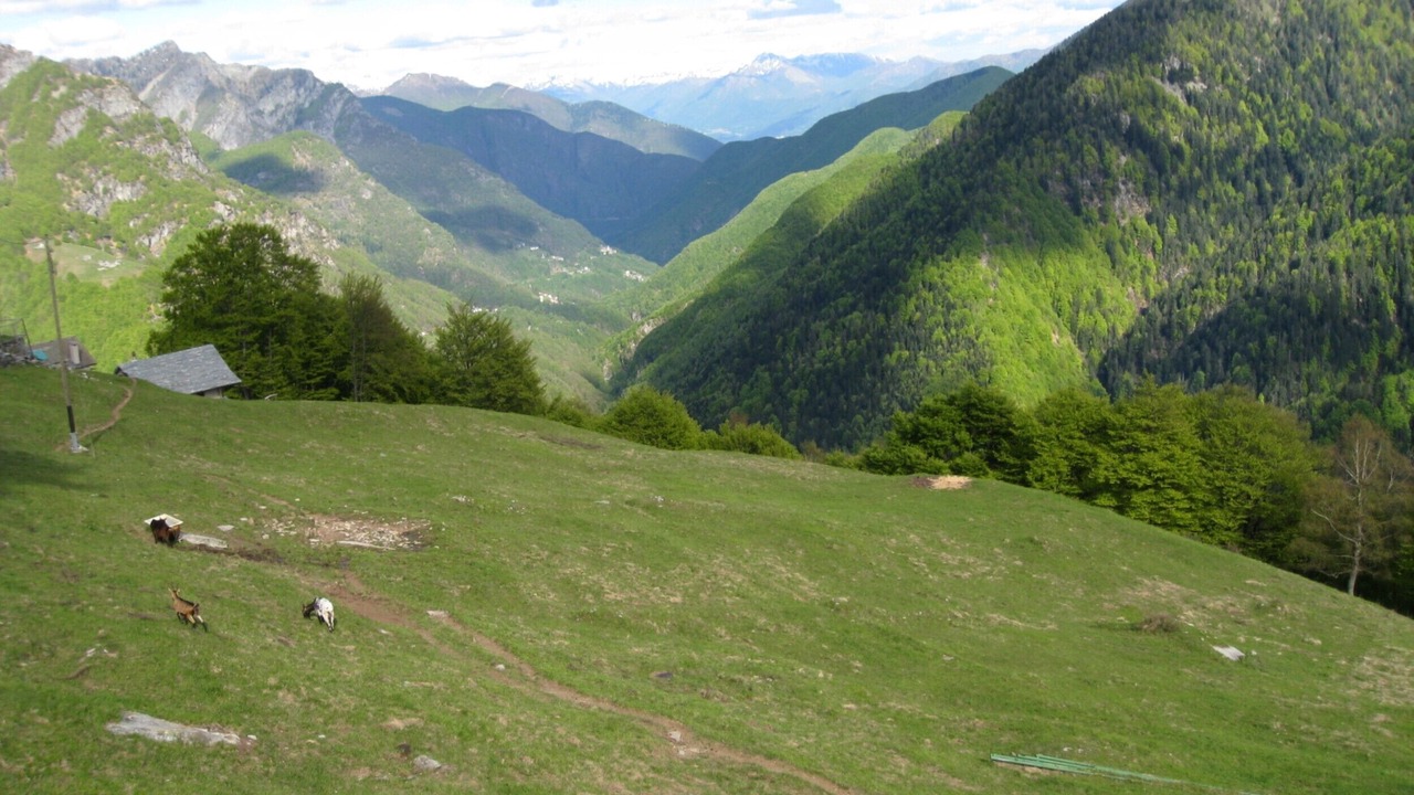 Photo of Others in Spruga