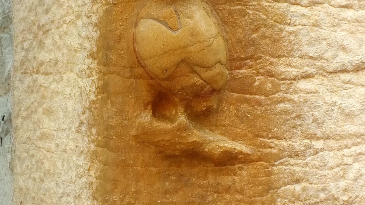 Photo of Outdoor in Dijon Centre Ville