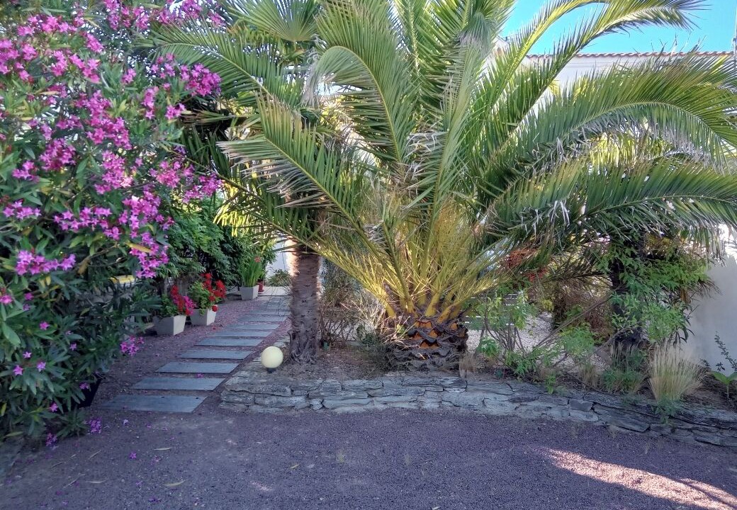 Photo of Outdoor in Fromentine