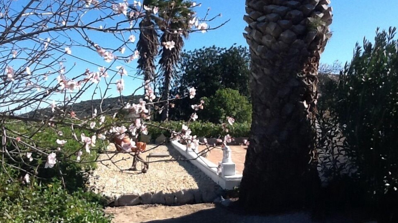 Photo of Others in Barranco de Sao Miguel
