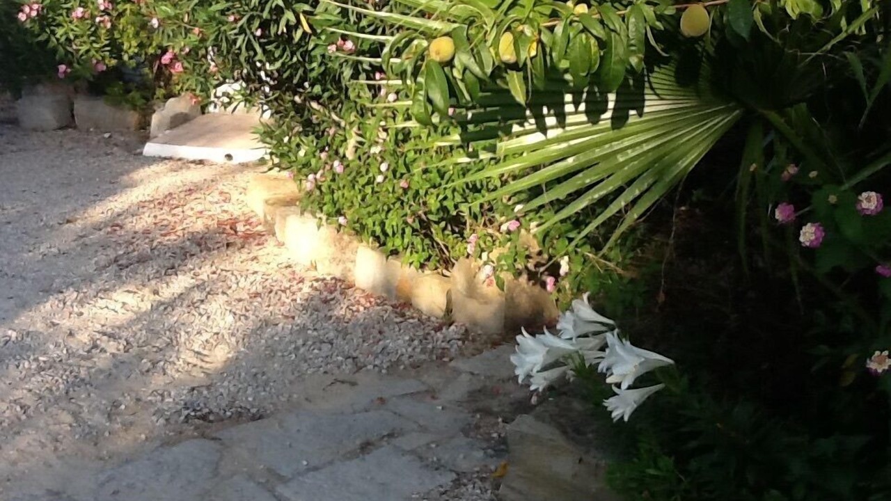 Photo of Outdoor in Barranco de Sao Miguel