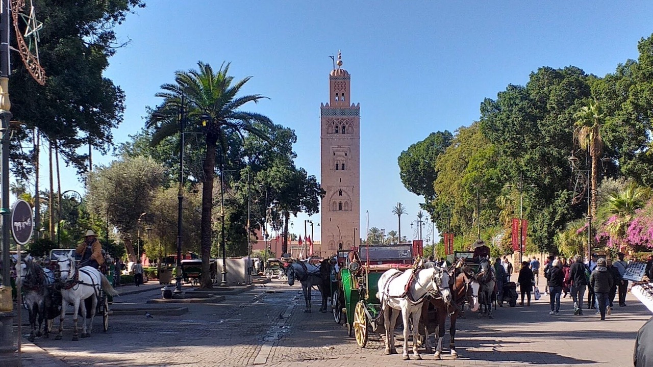 Photo of Others in Riad Zitoun Jdid