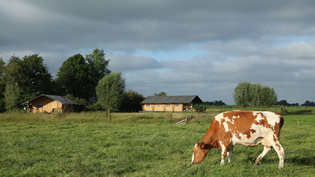 Photo of Outdoor in Enumatil