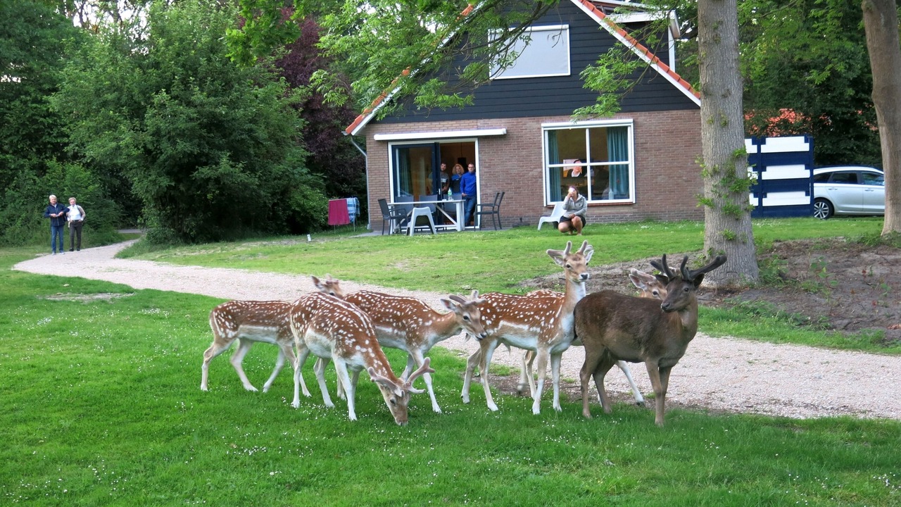 Photo of Outdoor in Breezand