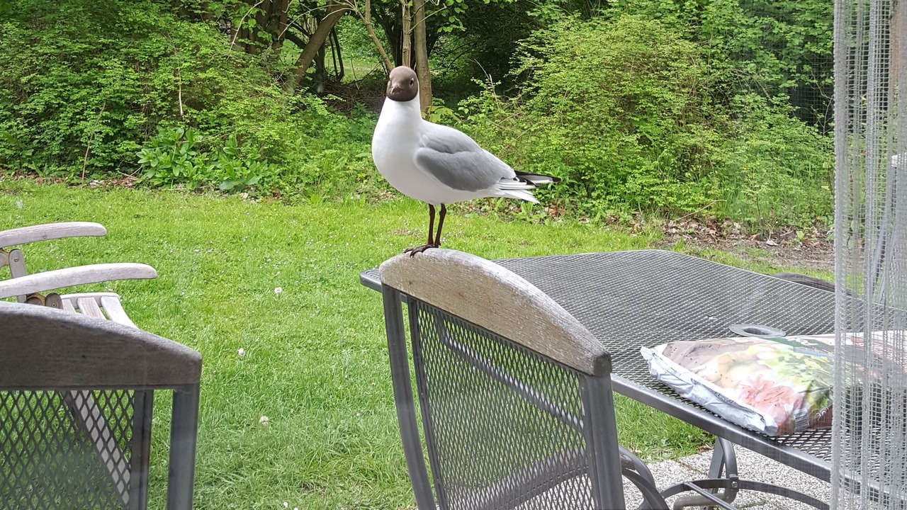 Photo of Outdoor in Breezand