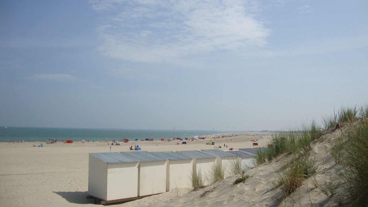 Photo of Others in Breezand
