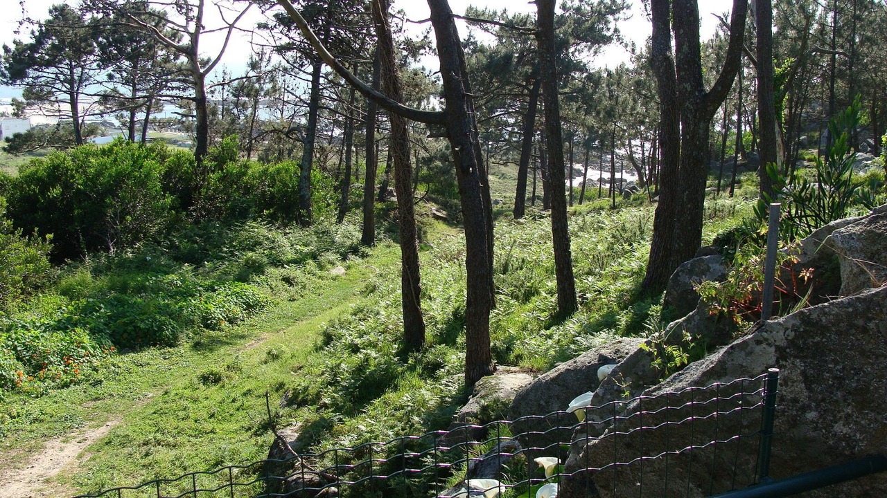 Photo of Outdoor in Carreco