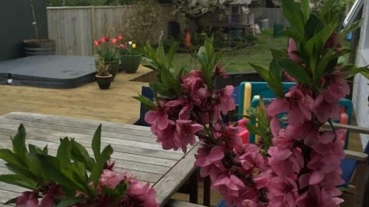 Photo of Others in Raumati South