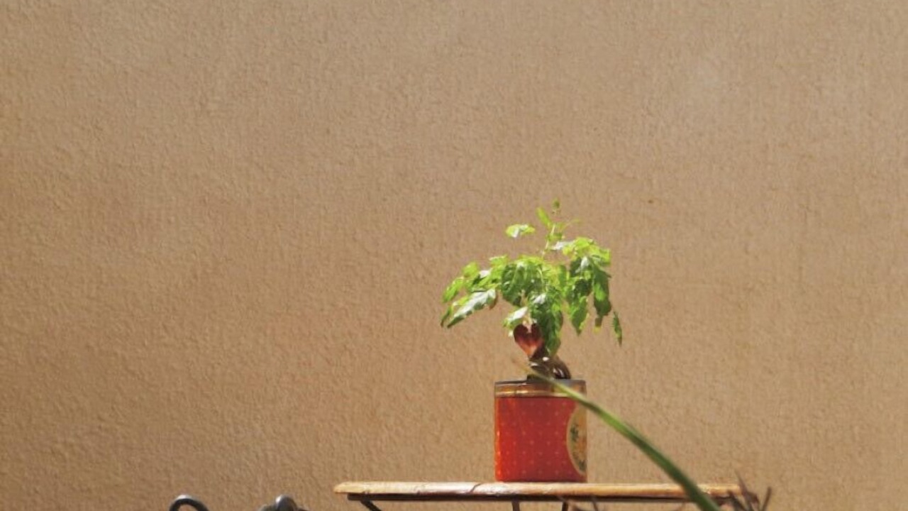 Photo of Outdoor in Lunel