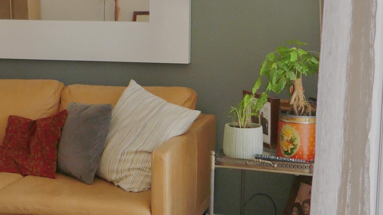 Photo of Livingroom in Lunel