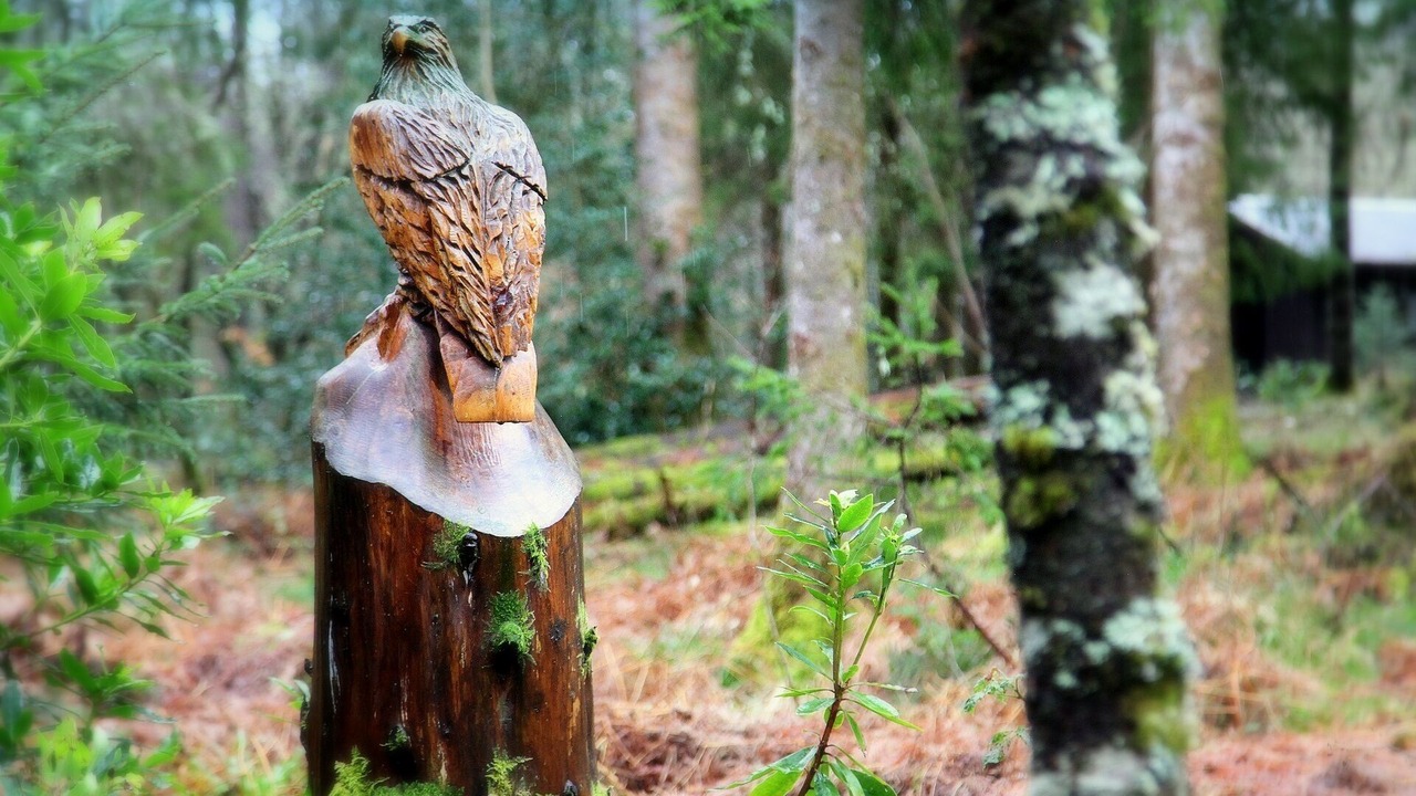 Photo of Outdoor in Taynuilt