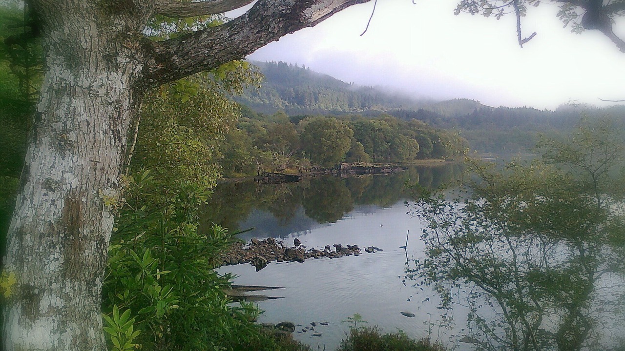 Photo of Others in Taynuilt